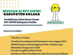 BPC HIPMI Kolaka Buka Pendaftaran, Ini Syaratnya